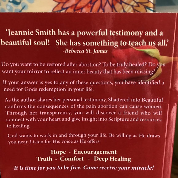 2 for $10 “Shattered Into Beautiful” True Story - Picture 4 of 5